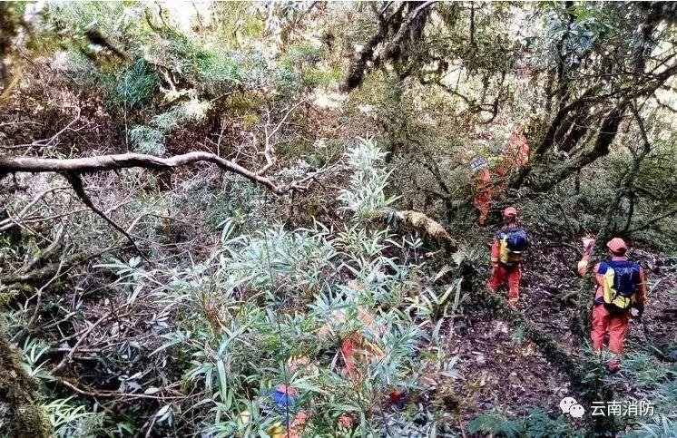 火山爆发应急措施__火山爆发预警