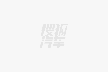 星空·综合体育官网意大利十大出名自行车品牌排行榜辐轮王德罗萨一王四后公路车(图1)